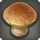 Brown mushroom icon1.png