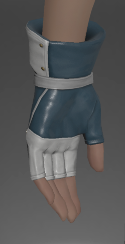 File:Critical Hit B-2 Tour Halfgloves rear.png