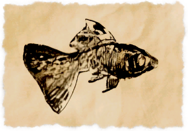 File:Guppy.png