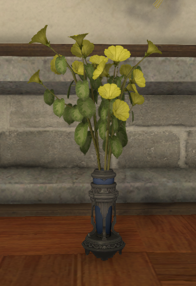 File:Yellow Morning Glories.png