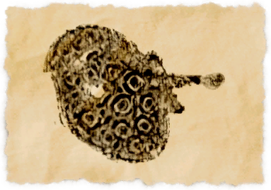 File:Noble's fan.png