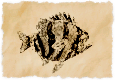 File:Motley beakfish.png