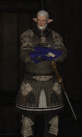 File:Veteran Temple Knight.jpg