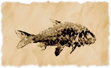 File:Doman grass carp.png