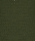 File:Olive Green.png