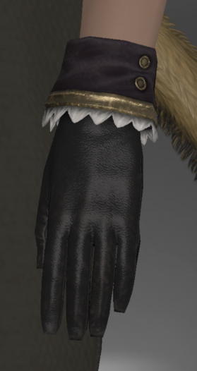File:Academic's Gloves side.png