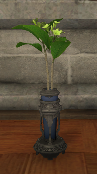 File:Green Champa.png