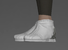 Appointed Shoes side.png