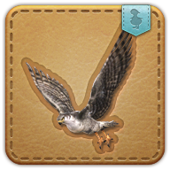 Hunting hawk icon3.png