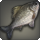 Grey carp icon1.png