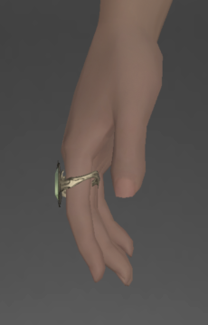 File:Alliance Ring of Fending front.png