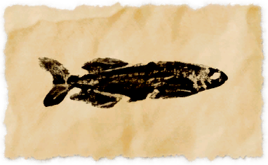 File:Crystarium tetra.png