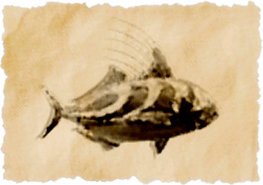 File:Roosterfish.png