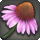 Coneflower icon1.png