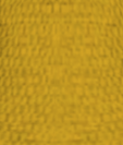 File:Honey Yellow.png