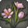Nymeia lily icon1.png