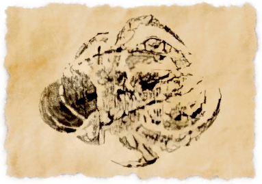 File:Robber crab (fish).png