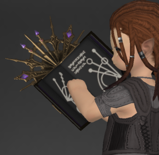 File:Marid Leather Grimoire 2.png