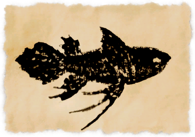 File:Ashfish.png