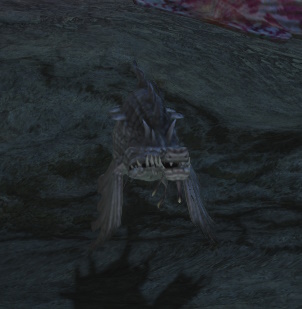 File:Sastasha Pugil.jpg