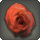 Dried red oldrose icon1.png