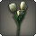 White tulips icon1.png