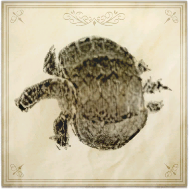 File:Henodus grandis.png