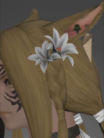 Bonewicca Accessories (Swallow's Compass)