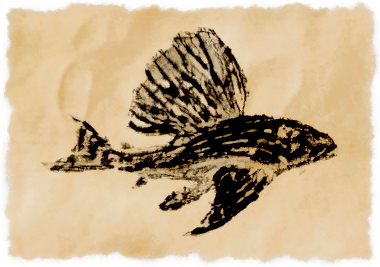 File:Ronkan pleco.png