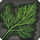 Sprig of mist dill icon1.png