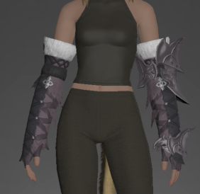 Void Ark Gloves of Aiming front.png