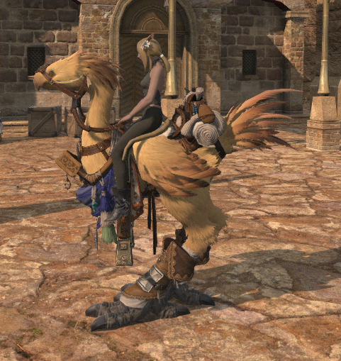 File:Wayfarer's Barding left side.png