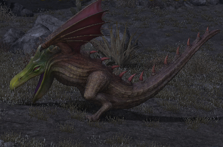 Alexandrian Axe Beak