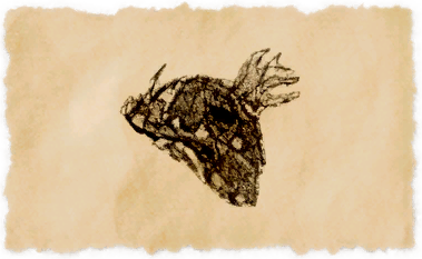 File:Antlion slug.png