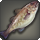 Shallows cod icon1.png