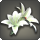 White brightlily corsage icon1.png