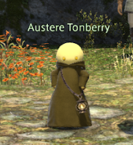 Austere Tonberry.png