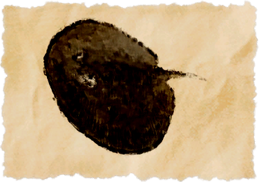 File:Flawless saucer.png