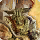Grynewaht card icon1.png