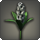 Black hyacinths icon1.png