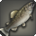 Crown trout icon1.png