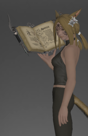 File:Nabaath Grimoire inside.png