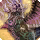 Lunar bahamut card icon1.png