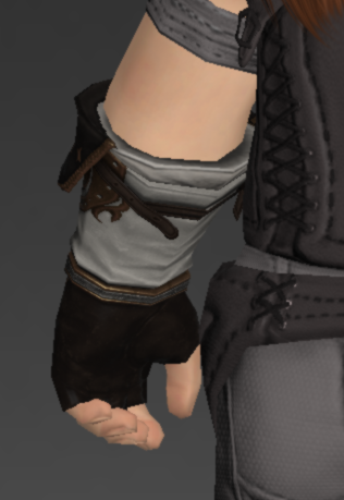 File:Augmented Lunar Envoy's Fingerless Gloves of Aiming 2.png