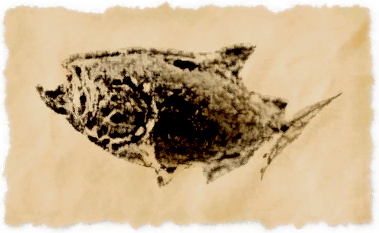 File:Bluebell salmon.png