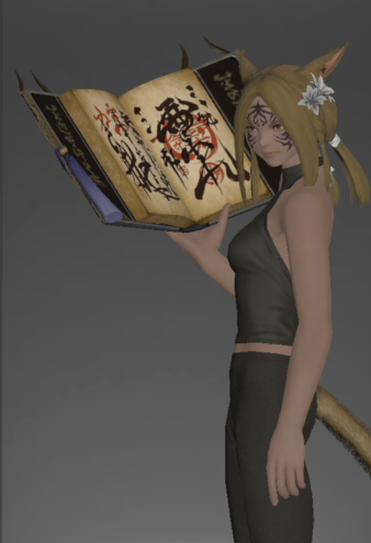 File:Seiryu's Codex inside.png