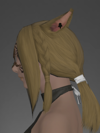 File:Augmented Lunar Envoy's Face Guard of Fending left side.png