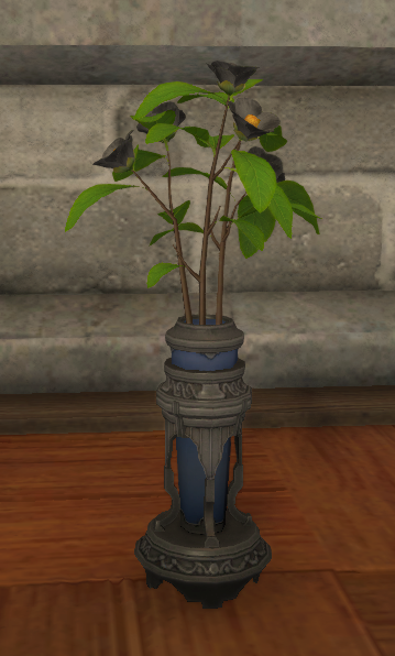 File:Black Tea Flowers.png