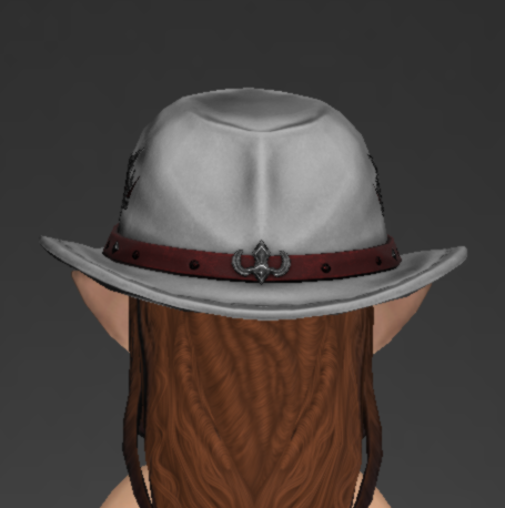 File:Dark Horse Champion's Hat of Healing 3.png