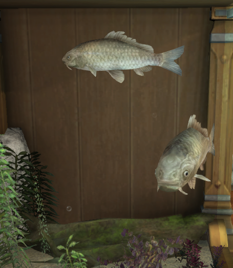 File:Xenocypris tank.png